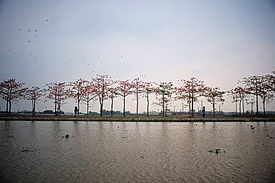 FS社举行大型招聘说明会 多个新项目正在开发中